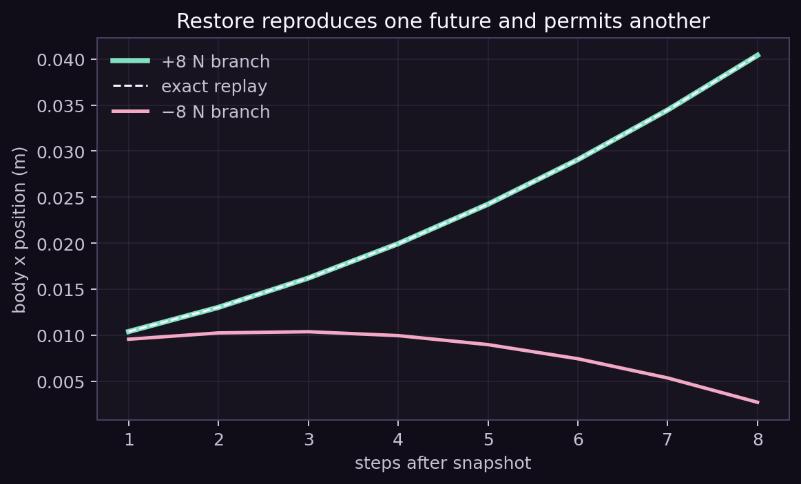 Exact overlapping snapshot replay and diverging positive and negative force branches